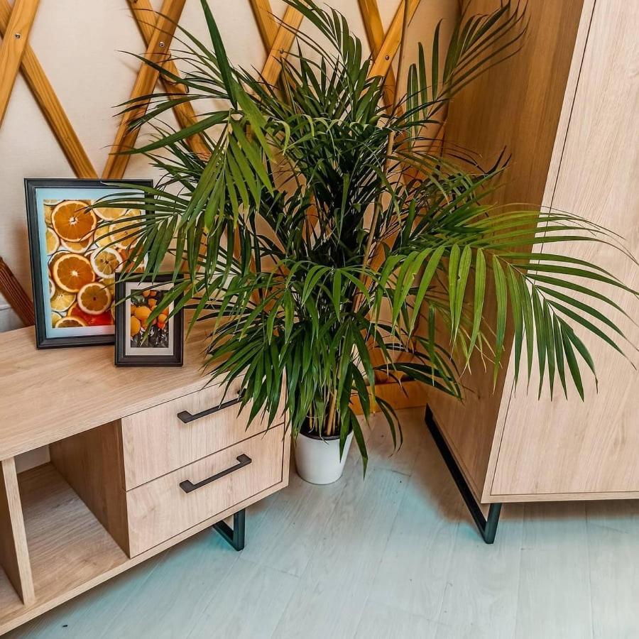 Jurty Glamping Ξενοδοχείο Gostynin Εξωτερικό φωτογραφία